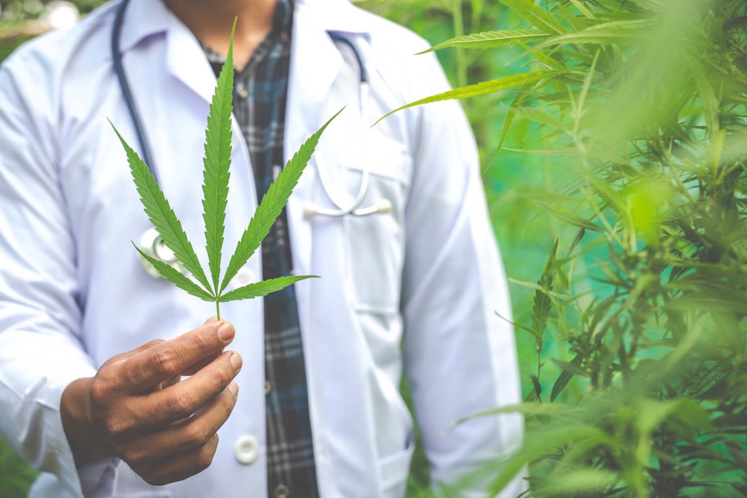 Texas Senate Passes Ban on Consumable THC